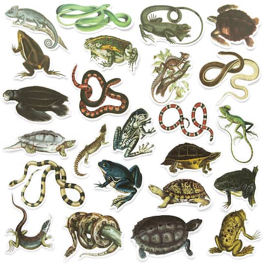 12 Pack: Reptiles Die Cut Stickers by Recollections™